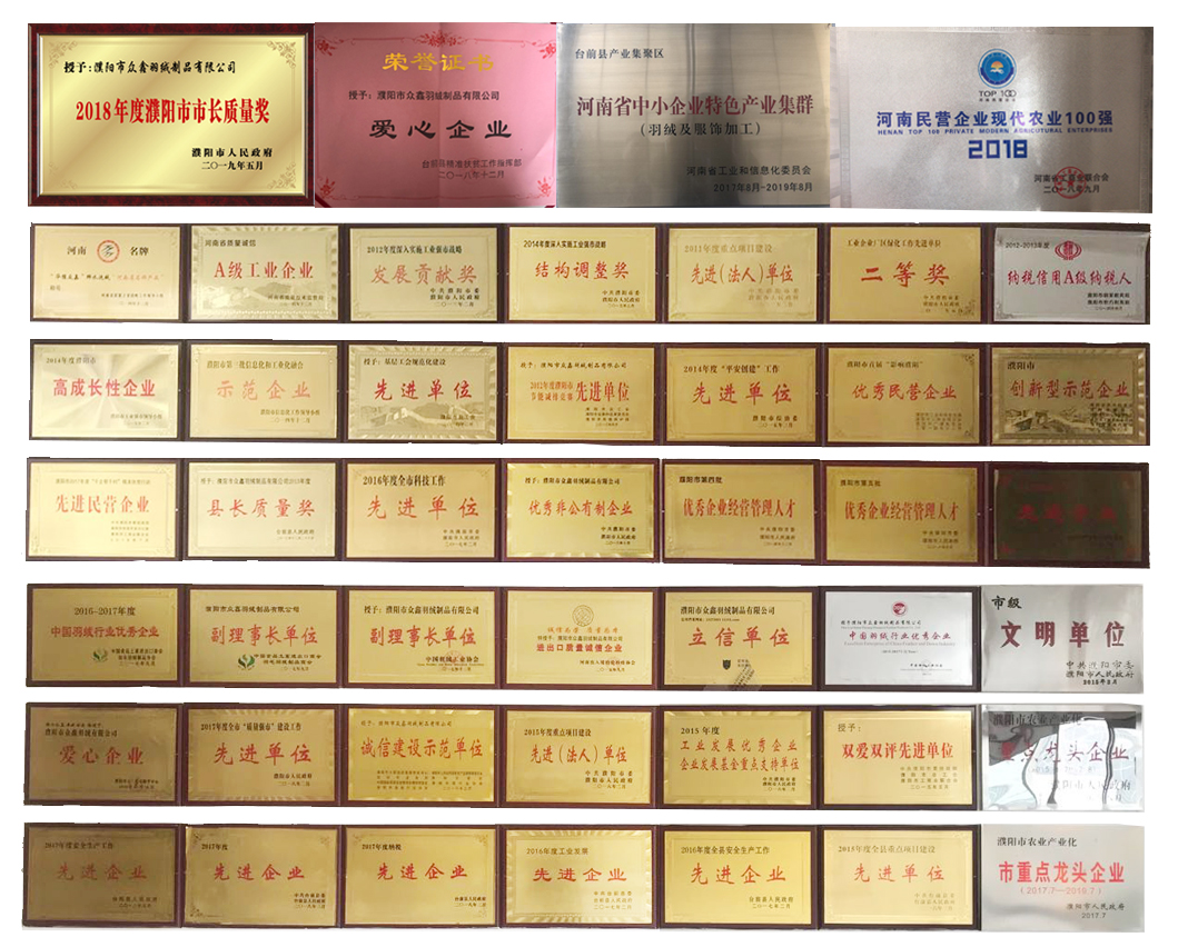 榮譽(yù)2.jpg